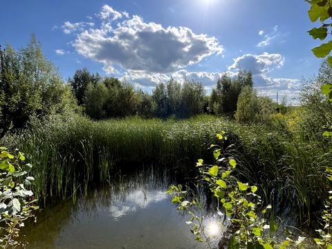 участок по адресу Северинівська