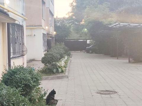 квартира по адресу Космонавтов ул., 66