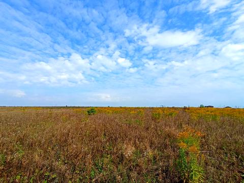 ділянка за адресою СТ Грузевицький-1