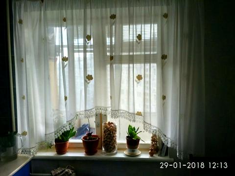 квартира за адресою Левка Лук'яненка вул. (Маршала Тимошенка), 4