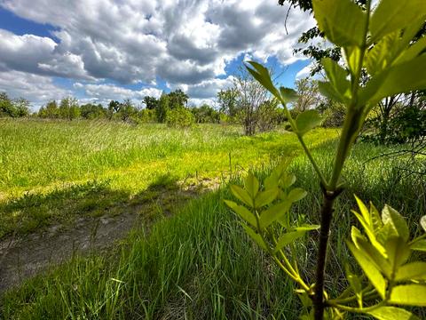 участок по адресу 