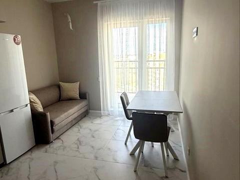 квартира по адресу Краснова ул., 3