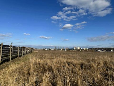 участок по адресу Белокур ул. (Курская)