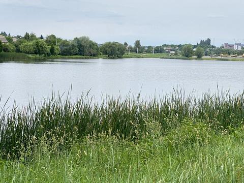 будинок за адресою онтаріо