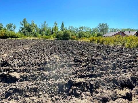 ділянка за адресою Тисмениця