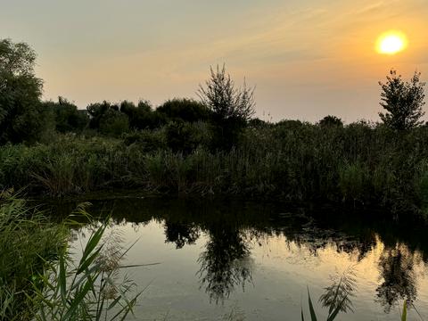 ділянка за адресою Вишнева