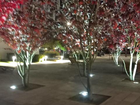 комерційна за адресою Салютна вул., 2к18