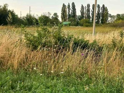 ділянка за адресою Ростовська, 35