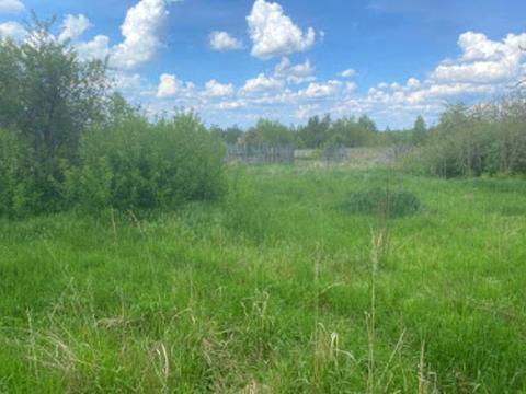 участок по адресу Горського, 70