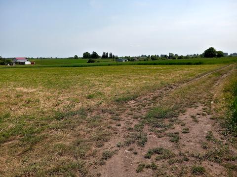 участок по адресу Нове село