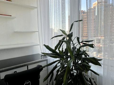 квартира по адресу Генуэзская ул., 5