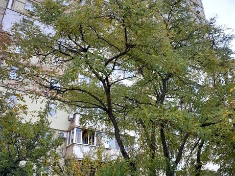 квартира за адресою Академіка Єфремова вул. (Командарма Уборевича), 9
