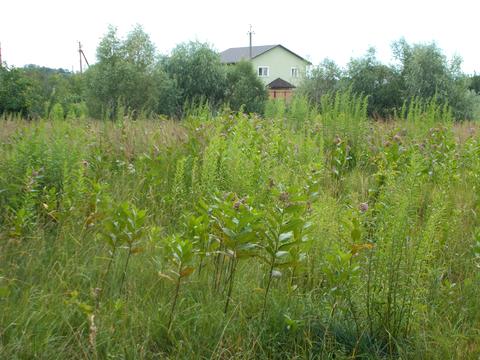 участок по адресу пгт. Козелец, О.Береста, 16