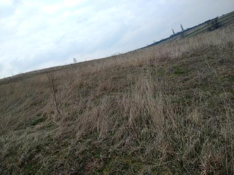 участок по адресу Урочище Піддовге, 23
