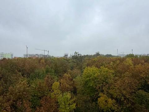 квартира по адресу Стрийская ул., 111-Ж