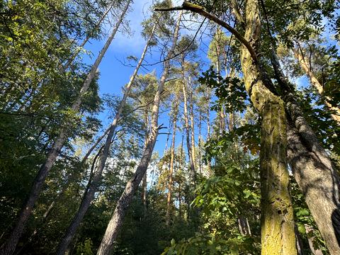 дом по адресу Снайпера ул.