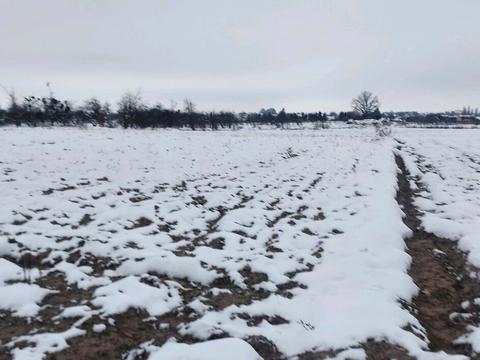 участок по адресу 