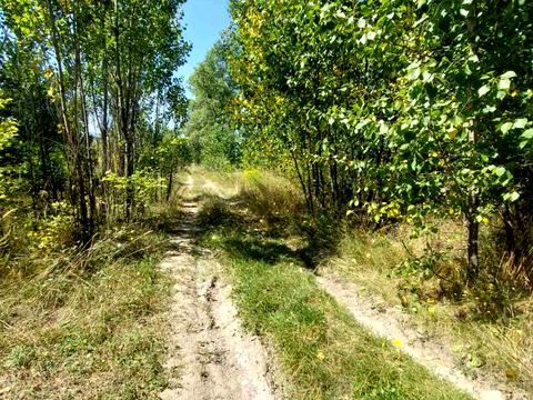 участок по адресу 