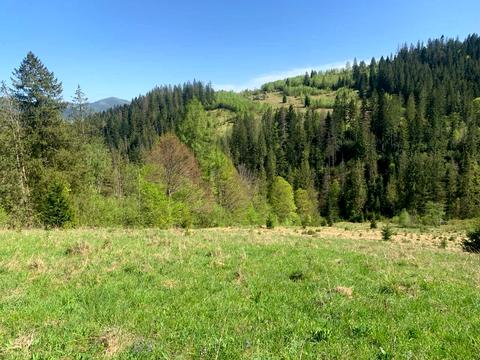 ділянка за адресою Ділок