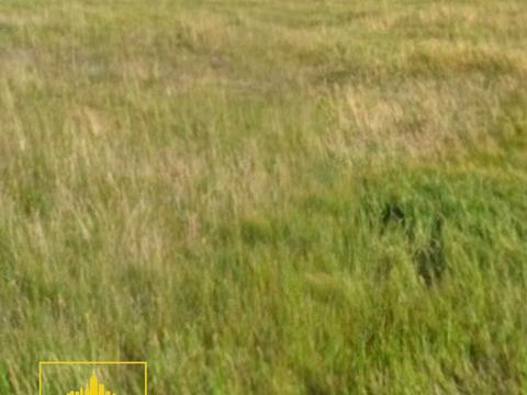 ділянка за адресою Гагаріна, 31