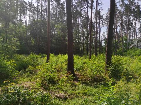 ділянка за адресою Котляревського