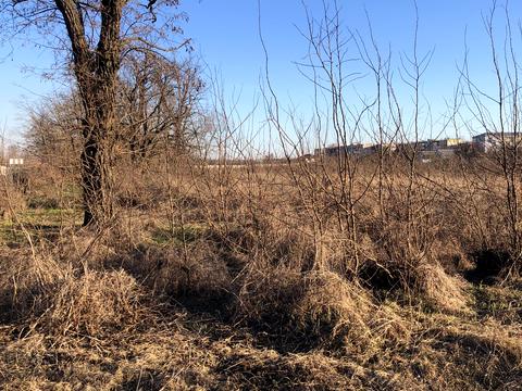 ділянка за адресою смт. Дніпровське, Заводська