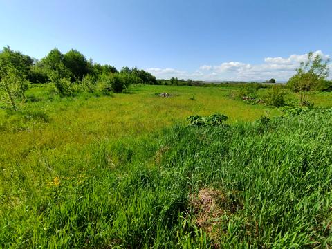 ділянка за адресою Урочище Під Горбом