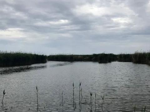 будинок за адресою Хаджибей 2