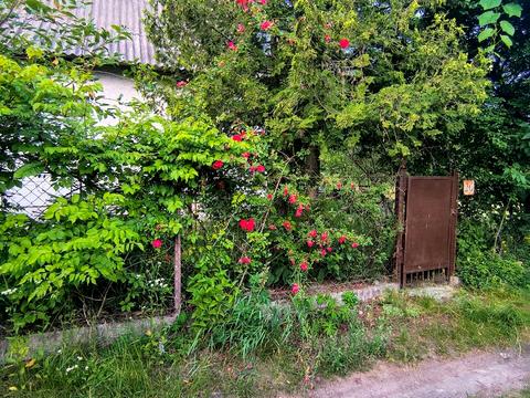 дом по адресу Воровского пер., 20