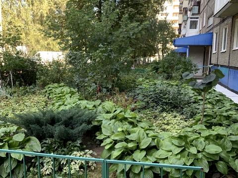 квартира по адресу Калиновая ул., 76