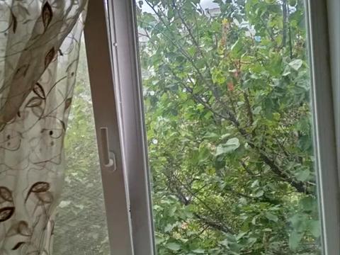 квартира за адресою Миру просп., 59