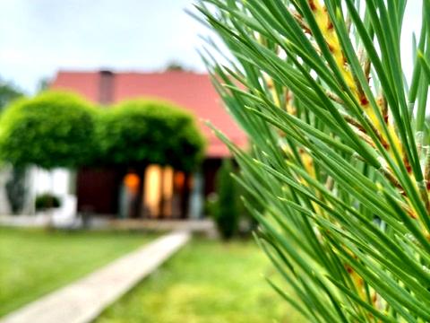 дом по адресу Підлісна, 117