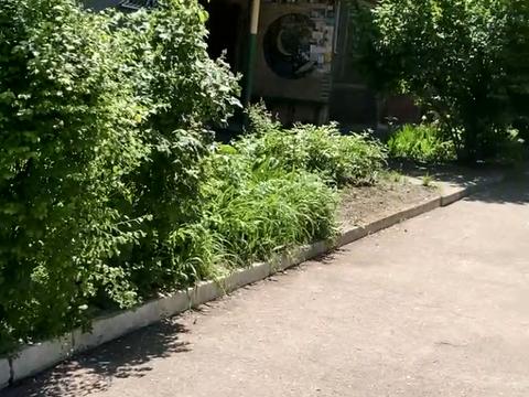 квартира по адресу Максима Чиженко ул., 92