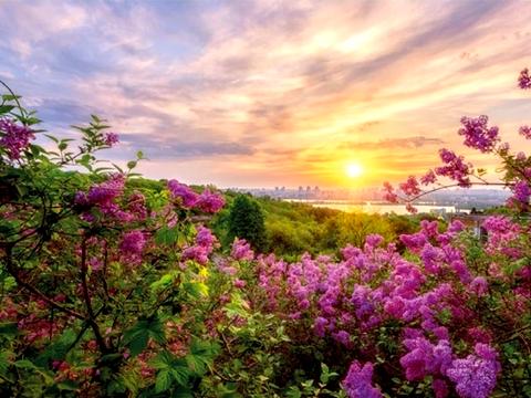 квартира за адресою Ломаківська вул. (Мічуріна), 55