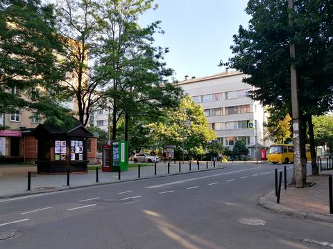 квартира за адресою Вячеслава Чорновола, 67
