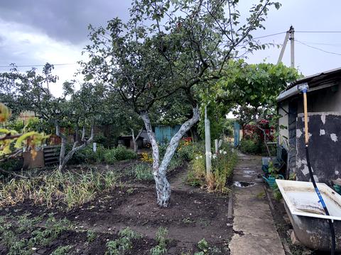 дом по адресу Центральна