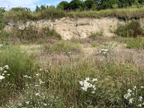 участок по адресу Южная ул.