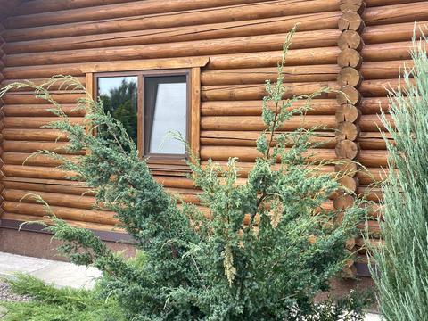 дом по адресу Олеся Гончара, 15