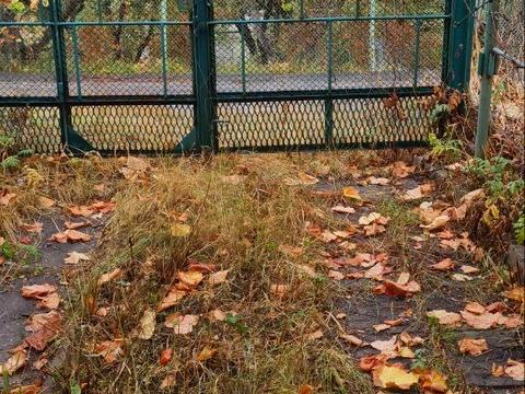 дом по адресу Східна