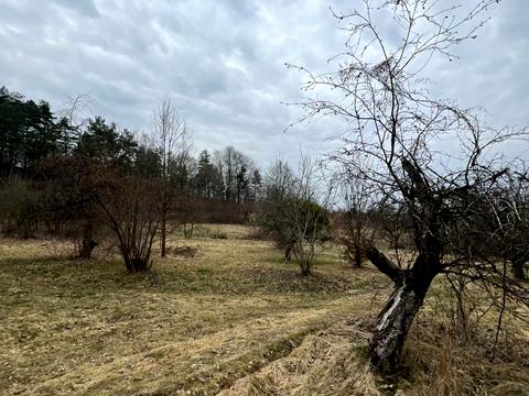 ділянка за адресою с. Козулька, запасіка, 19