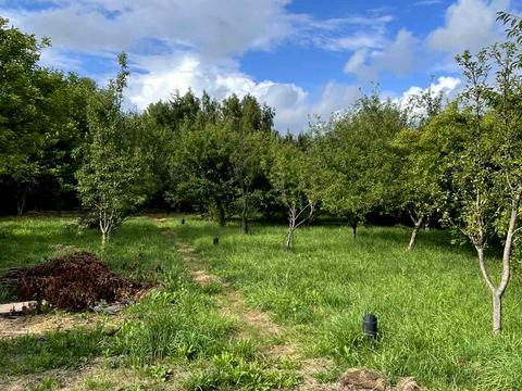 будинок за адресою Центральна вул., 211