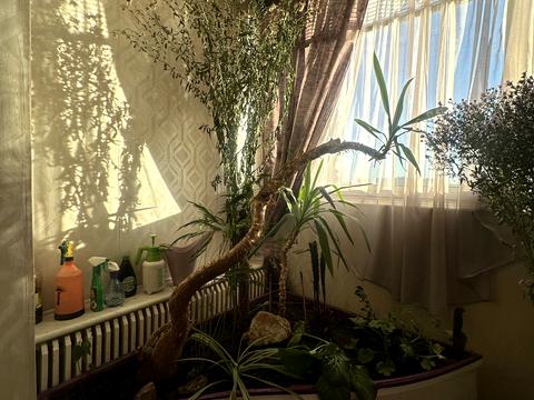 квартира за адресою Дарницький бульв., 3