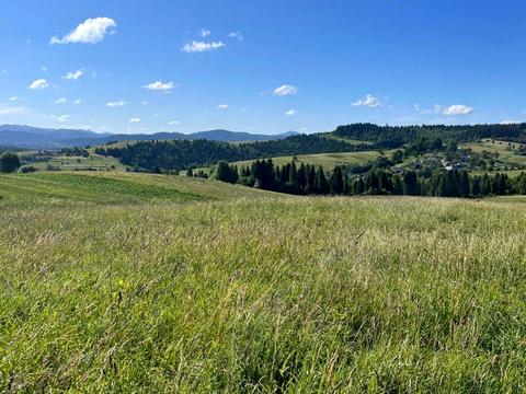 ділянка за адресою Турка, 