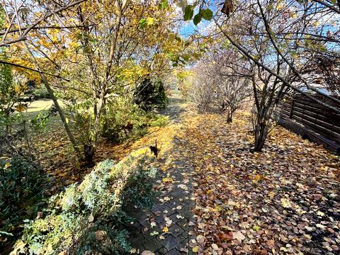 дом по адресу Васильков, Владимирская ул.