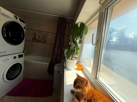 дом по адресу Яблоньская ул. (Кирова)