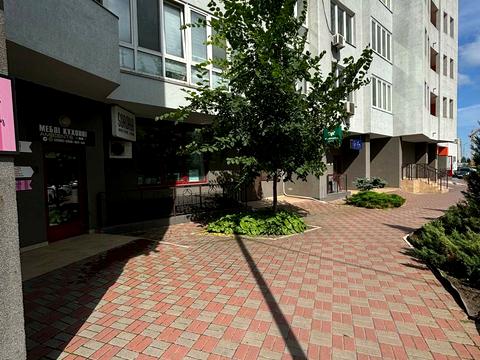 комерційна за адресою Єлизавети Чавдар вул., 1