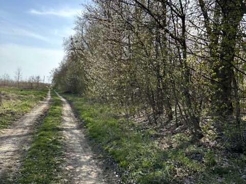 ділянка за адресою Гагаріна вул.