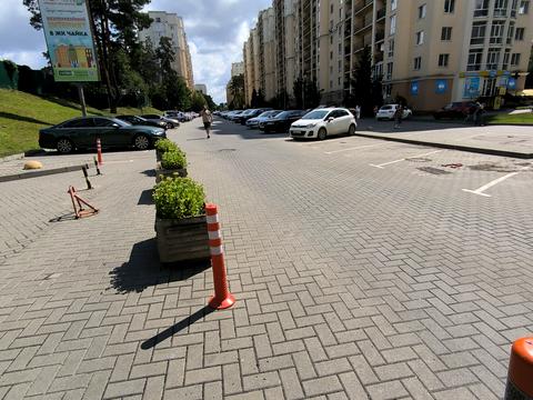 квартира за адресою Валерія Лобановського вул., 29