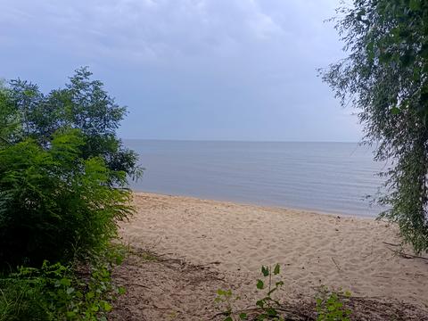 ділянка за адресою Колективна вул., 1