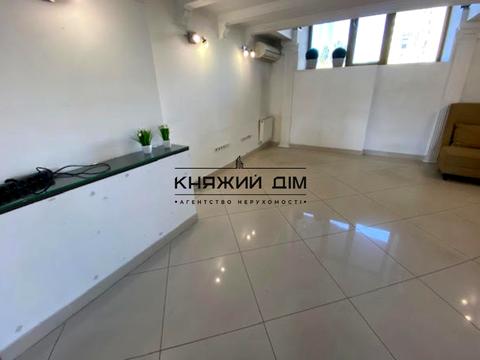 комерційна за адресою Жилянська вул., 59